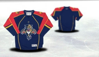 Florida Panthers Youth blue Jersey (Blank or Customized)