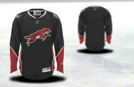 Phoenix Coyotes Men Customized Black Third Jersey