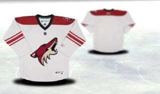 Phoenix Coyotes Youth white Jersey (Blank or Customized)