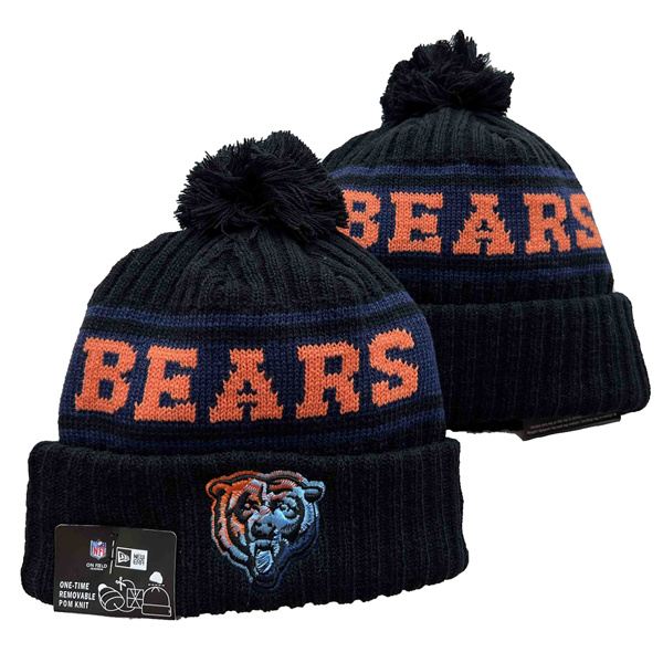 Bears Knit Hat YD