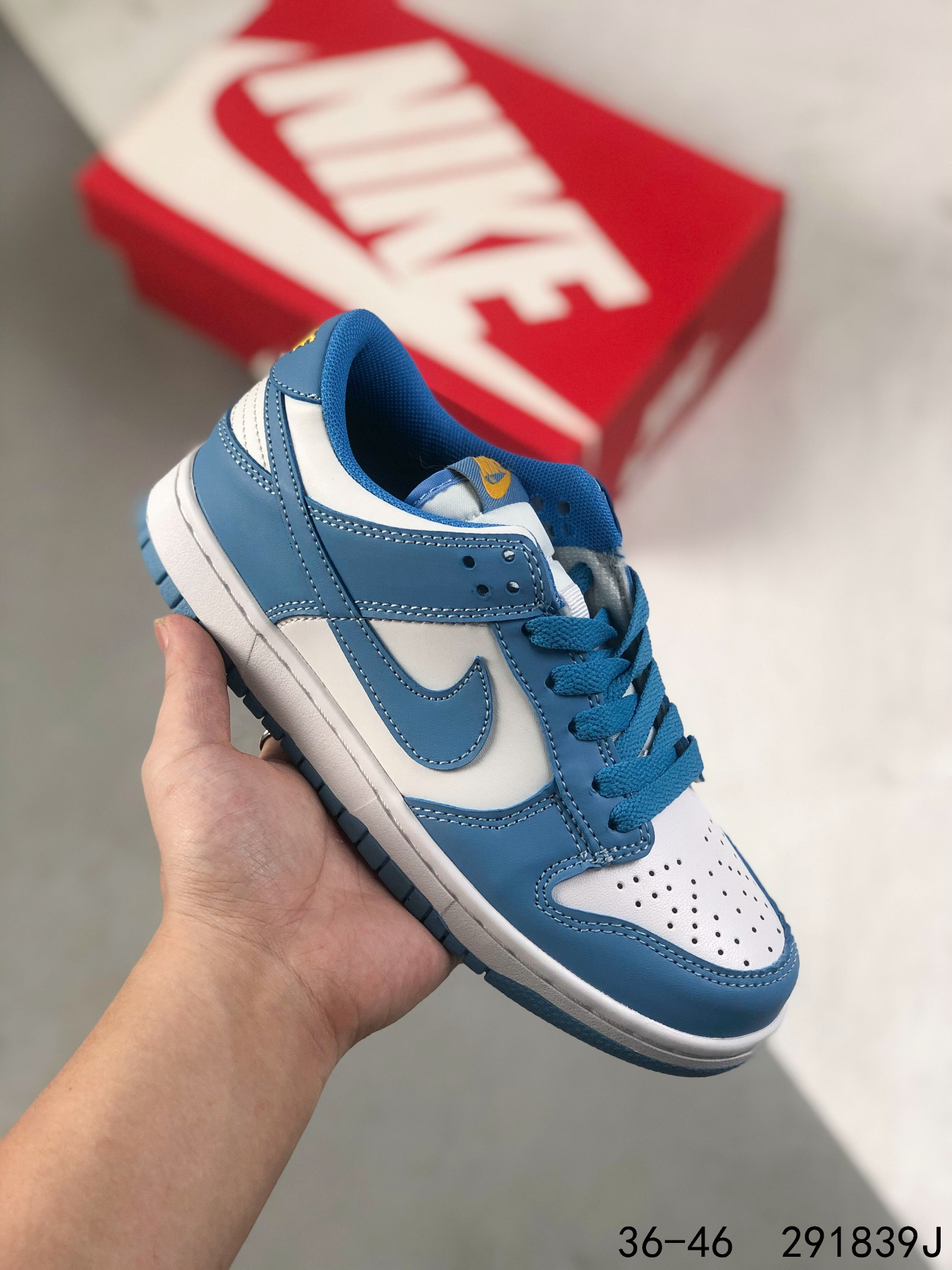 Nike SB Dunk Low Pro 6
