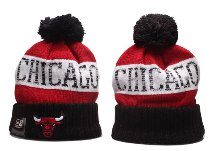 Bulls Team Logo Knit Hat YP